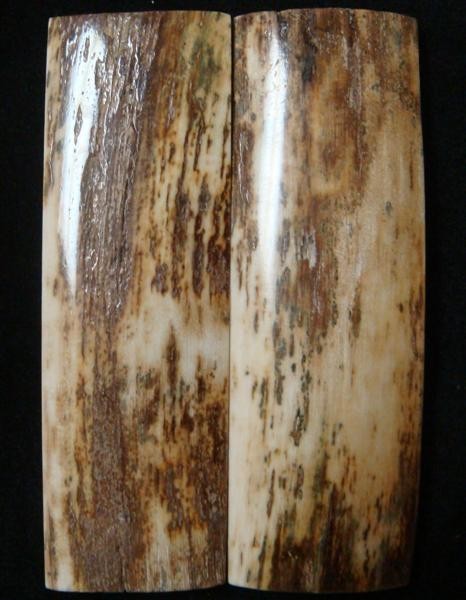 Mammoth Ivory Slabs