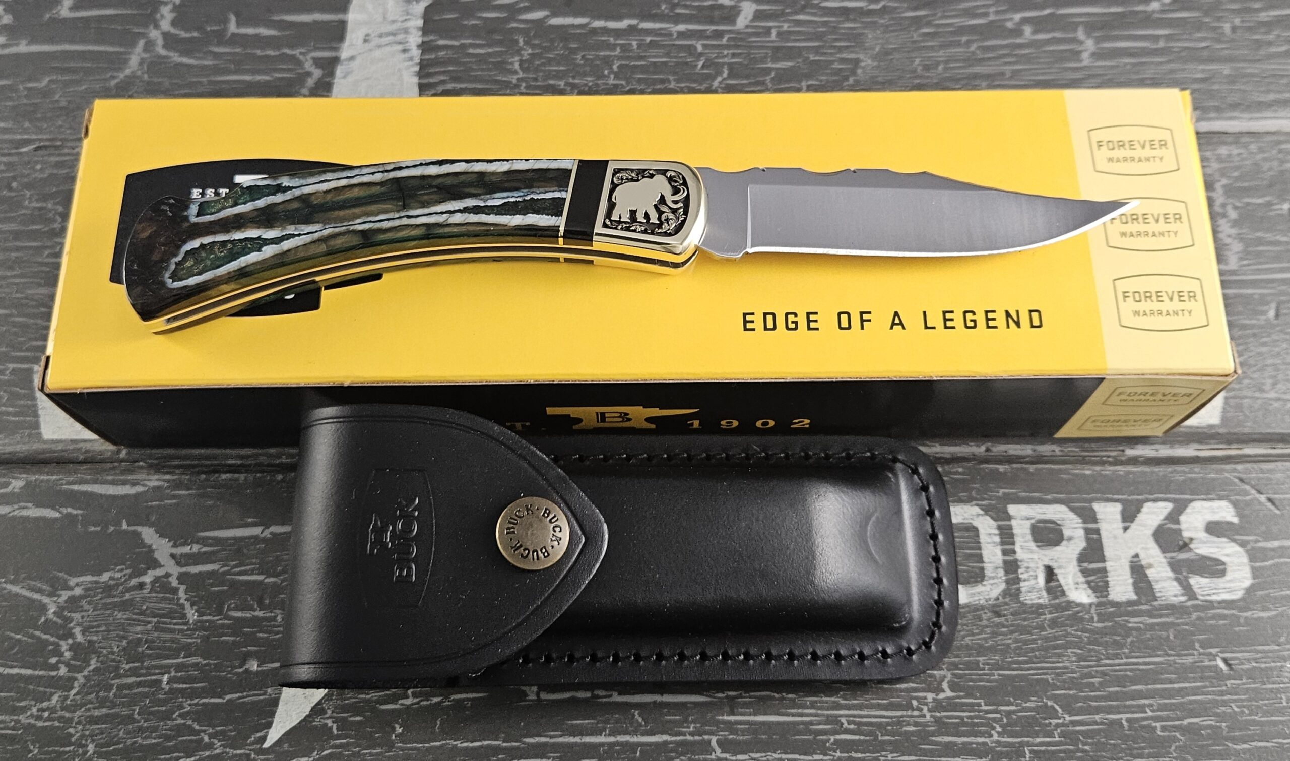 Customized Buck Knife 110 Folding Hunter Mammoth Edition 5 - Image 3