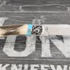 Customized Buck Knife 110 Folding Hunter Mammoth Edition 2 - Image 3