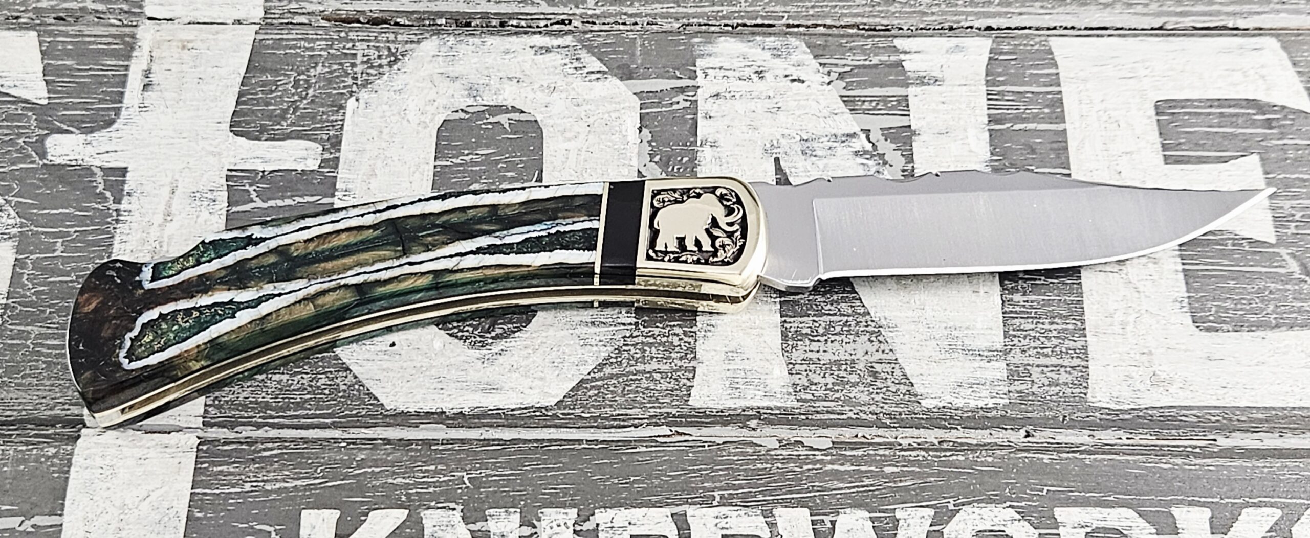 Customized Buck Knife 110 Folding Hunter Mammoth Edition 5 - Image 5